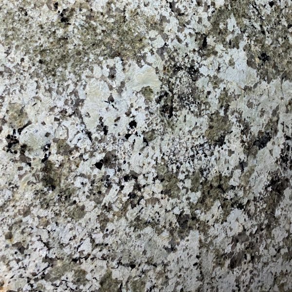 CT-318 Namb Green Detailed granite texture showing white, gray, and black speckled stone finish