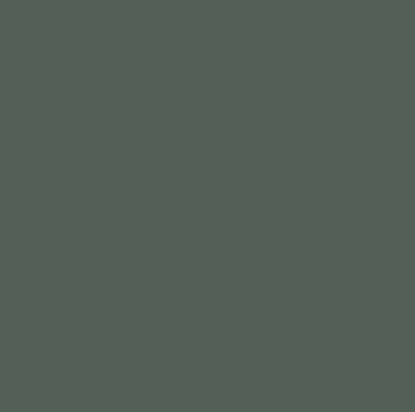 Solid sage green color background