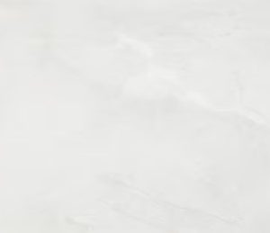 Soft white marble texture with minimal gray veining throughout