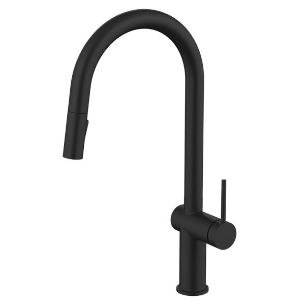 Black matte finish kitchen faucet with pull-down spray head and single lever control