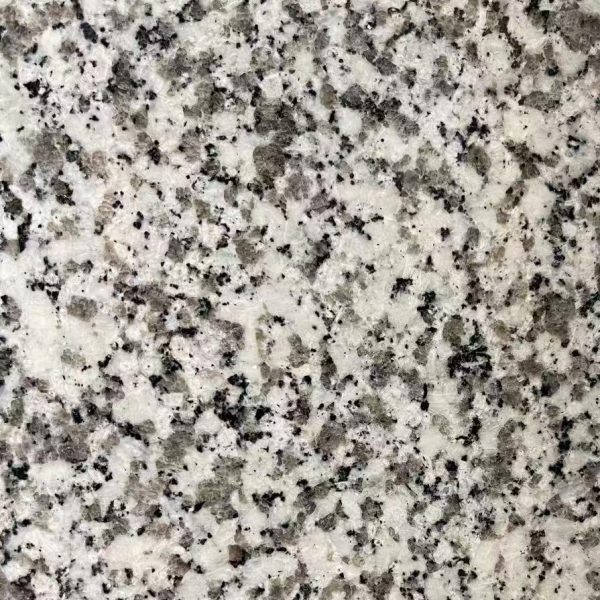 CT-346E Luna Pearl Close-up of speckled granite or quartz surface with white, gray, and black flecks