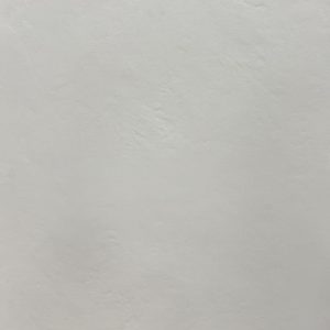 Plain white painted drywall or plaster surface with subtle texture